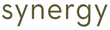 Synergy Face + Body